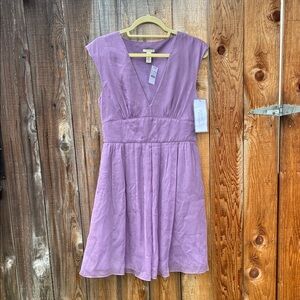 J. Crew Lavender V-Neck Dress

FLASH SALE